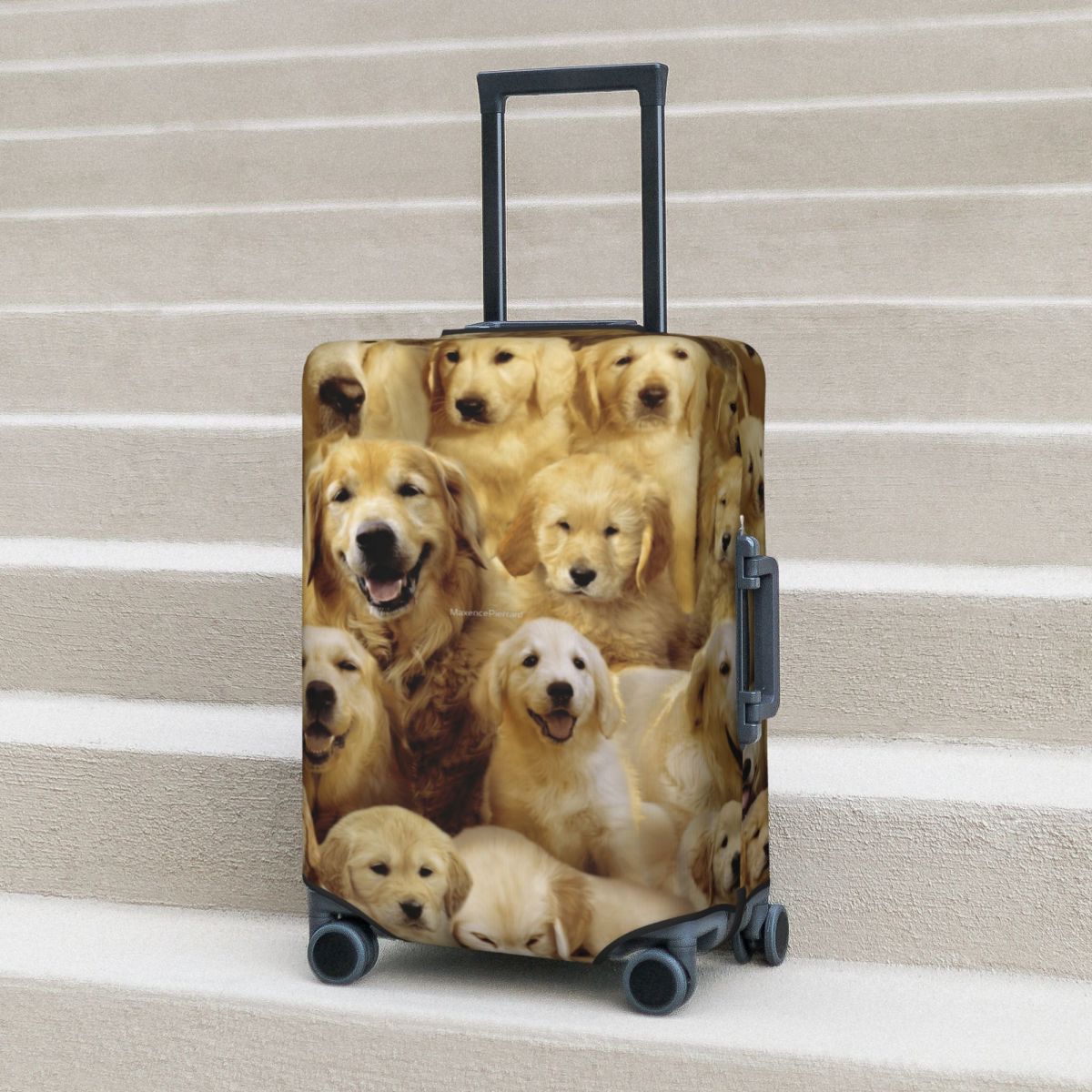 Golden Dog Suitcase Cover Anim - Travel Accessories To 3D Print recension och pris
